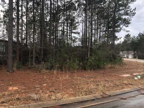 40 Cinnamon Fern Cir., Hattiesburg, MS 39402