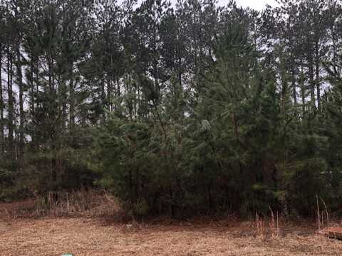 60 Belletower Turn, Hattiesburg, MS 39402