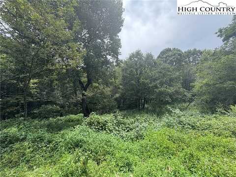 Tbd Friendship Church Road, Boone, NC 28607