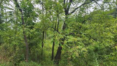 000 Walnut Street, Cassville, PA 16623