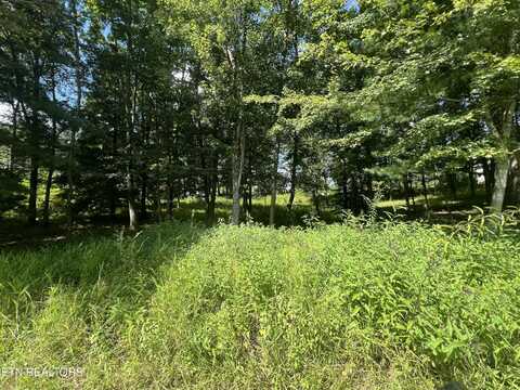 Peter Pan Ave, Crossville, TN 38572