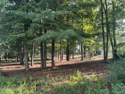 Peter Pan Ave, Crossville, TN 38572