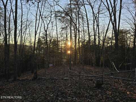 117 Hensley Rd Rd, Kingston, TN 37763