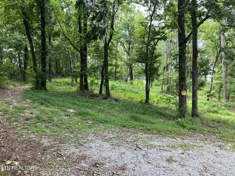 Lot 8 Grandview Lane, New Tazewell, TN 37825