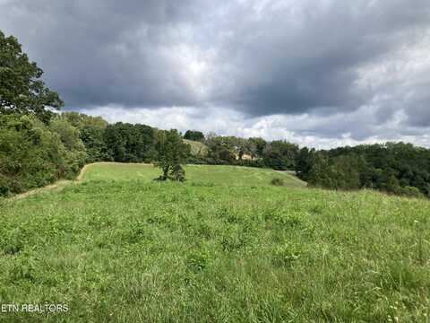 Lot 7 Grandview Lane, New Tazewell, TN 37825