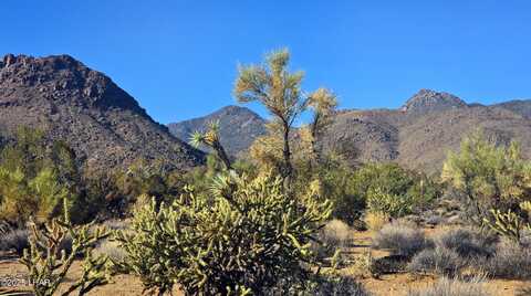 2b S Cattle Crossing Rd, Yucca, AZ 86438