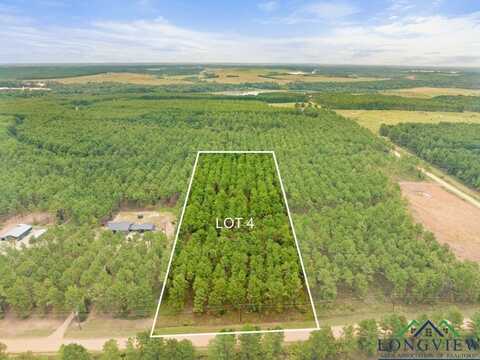3959 Waldrons Ferry, Hallsville, TX 75650