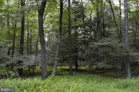 LOT 256 AZALEA LN, TERRA ALTA, WV 26764