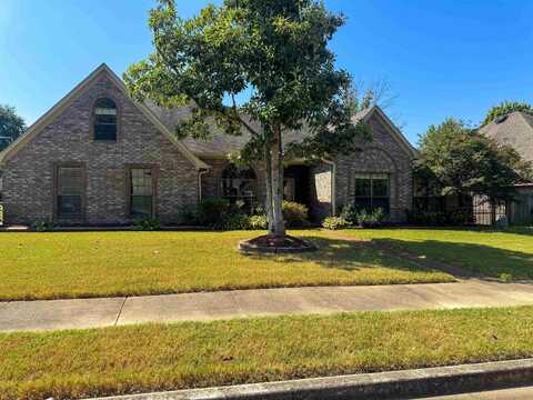 287 BLACK WOLF, Collierville, TN 38017