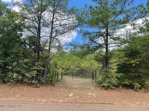 513 Brownlee Road, Sarah, MS 38665