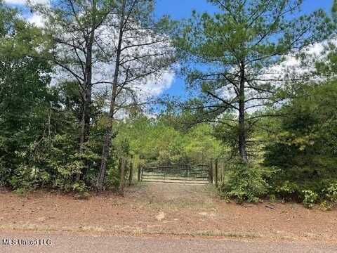513 Brownlee Road, Sarah, MS 38665