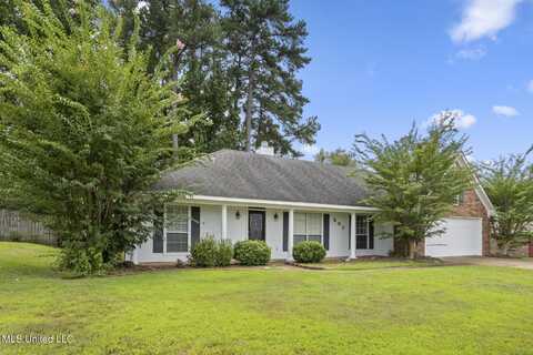 207 Meadowview Lane, Brandon, MS 39047
