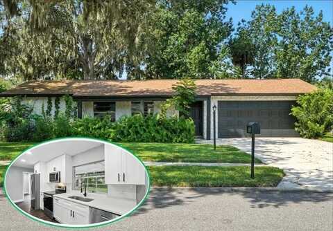 3722 PAIGE STREET, PORT ORANGE, FL 32129