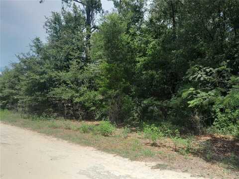 SE 108TH TERRACE, MORRISTON, FL 32668