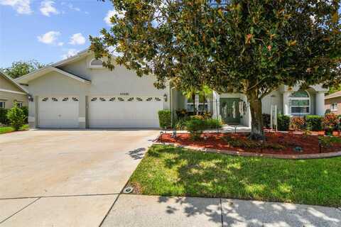 11230 BLOOMINGTON DRIVE, TAMPA, FL 33635