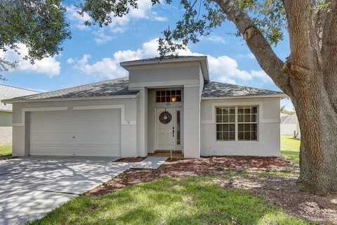 2737 PANKAW LANE, VALRICO, FL 33596