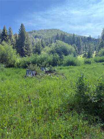 NHN Belle Trail, Philipsburg, MT 59858