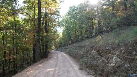 333-a Owens Switch Road, Gadsden, AL 35901