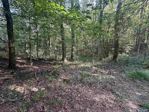 X Winding Brook Lane, Guntersville, AL 35976