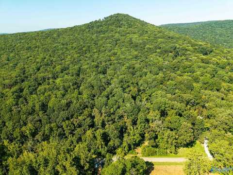 6.5 Acres Rock Springs Road, Owens Cross Roads, AL 35763
