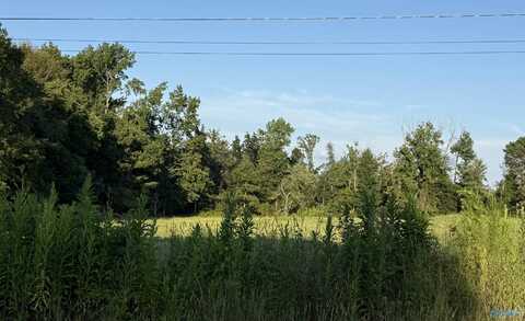 2ac Blevins Road, Falkville, AL 35622