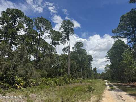 154 EDGEMERE Drive, Georgetown, FL 32139
