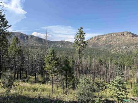 4.41 Ac West Canyon Loop, Mora, NM 87732