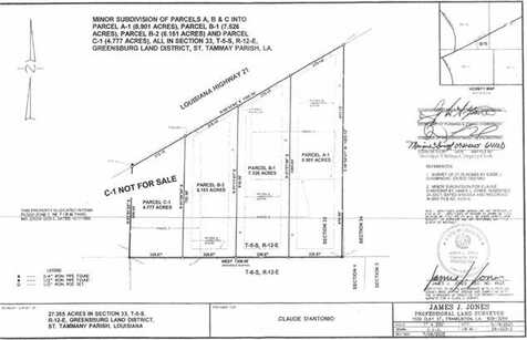 Parcel A1 HIGHWAY 21 Highway, Bush, LA 70431