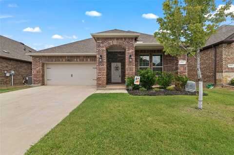 10917 Canyon Mine Drive, Aubrey, TX 76227