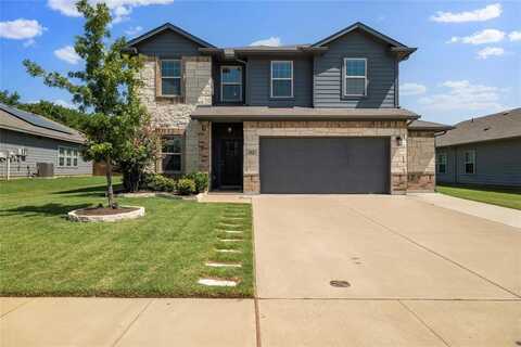 312 Countryside Drive, Aubrey, TX 76227