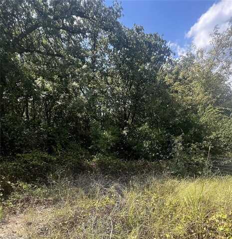 6421 Pioneer Trail, Valley View, TX 76272