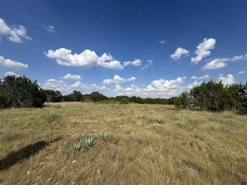1096 Creek Crossing Road, Nemo, TX 76070