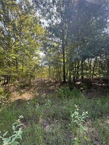 1682 Christine Street, Blossom, TX 75416