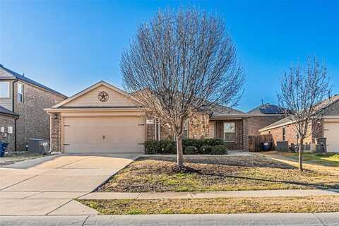 1202 Pampa Grass Drive, Princeton, TX 75407