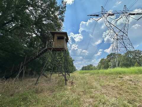 0 Dry Grove Road, Terry, MS 39170