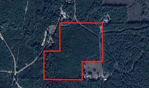 TBD Selma Loop Rd, Georgetown, LA 71432