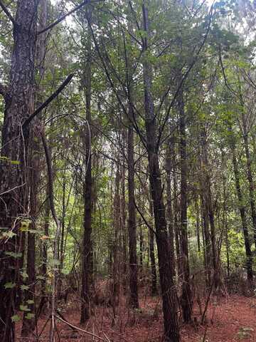 0 Mt. Zion Road, Grove Hill, AL 36451