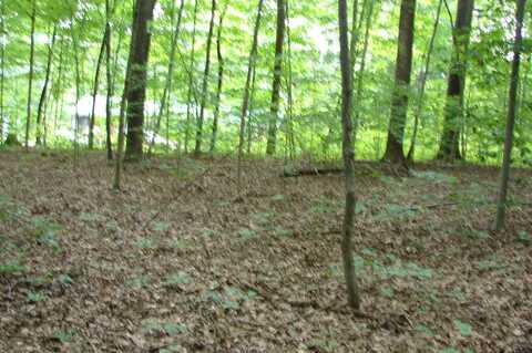 0 Lake Hart, Mooresville, IN 46158
