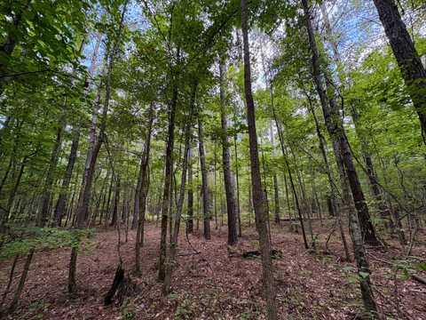 1 Stewart Road, Seale, AL 36875