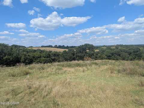 213 Lookout Ridge Ct., Pineville, MO 64856