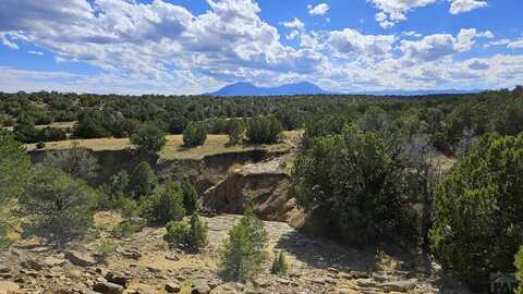 776 Rio Cucharas, Walsenburg, CO 81089
