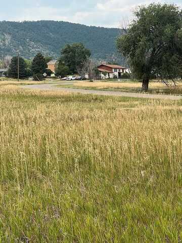 Huerfano Dr lot: 1364, Colorado City, CO 81019
