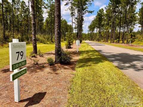Lot 79 Naturewalk Dr, Pace, FL 32571