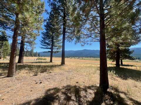 412 Valley Ranch Drive, Clio, CA 96106