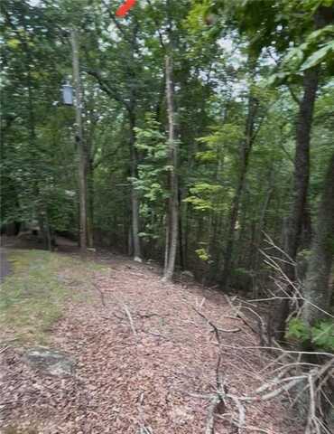 110 Siddiqui Court, Waleska, GA 30183