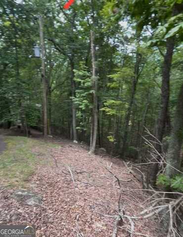 110 Siddiqui Court Court, Waleska, GA 30183