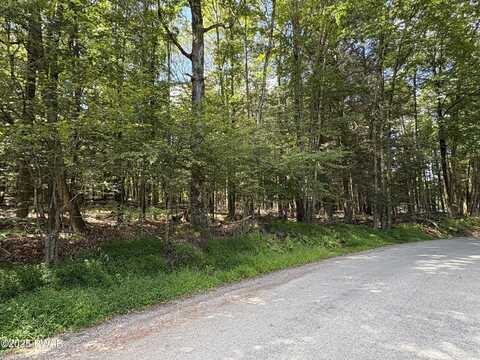 Lot 103 Wallenpaupack Drive, Greentown, PA 18426