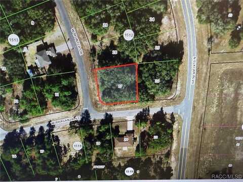 2485 W Braganza Street, Dunnellon, FL 34433