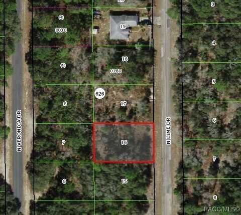 7164 N Lime Drive, Citrus Springs, FL 34433