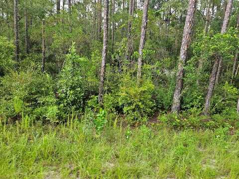TBD Mace Martin Rd, Wewahitchka, FL 32465